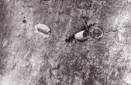 Śródborze (kopalnia wapienia jurajskiego), krzemienie pasiaste, 1982 r.