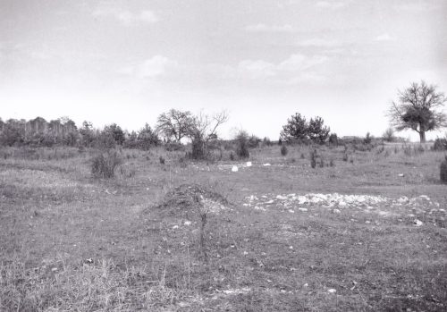 Rezerwat Krzemionki, 1966 r.
