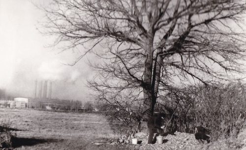 Wierzbica, uroczysko Zele, krzemienie czekoladowe, 1986 r.