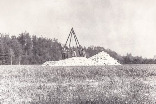 Śródborze, szybiki badawcze, poszukiwanie krzemieni pasiastych, 1982 r.