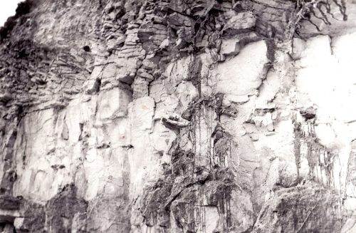 Śródborze (kopalnia wapienia jurajskiego), krzemienie pasiaste, 1982 r.
