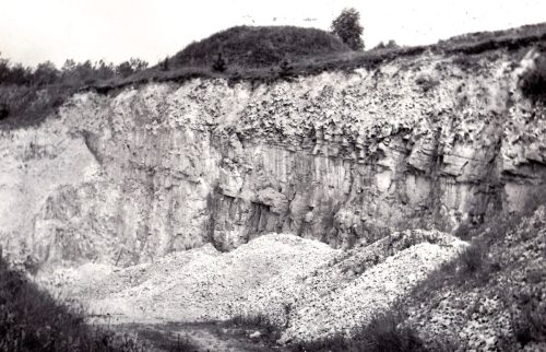 Śródborze (kopalnia wapienia jurajskiego), krzemienie pasiaste, 1982 r.