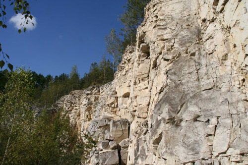 Karsy k. Ożarowa